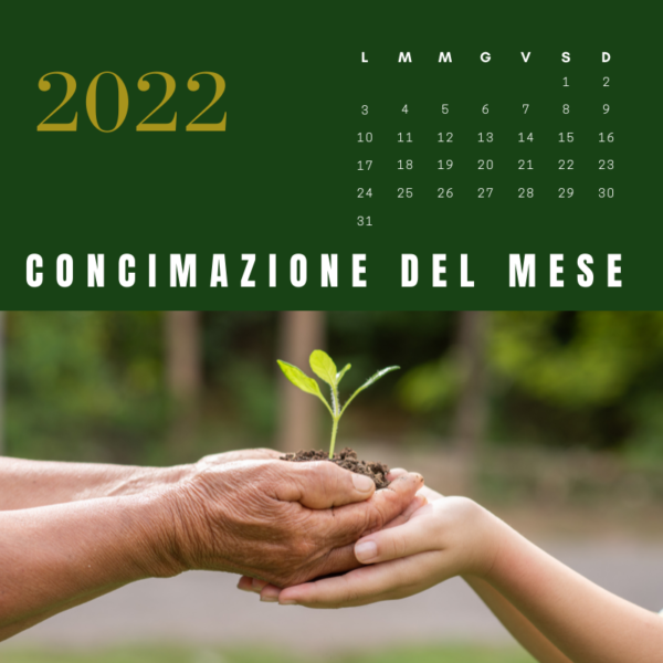 quando-concimare-il-prato-come-concimare-il-prato-piano-di-concimazione-pratoro